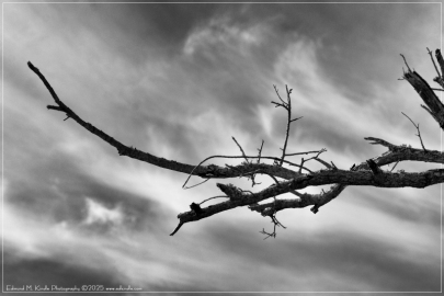 EMK_2689-Edit_01