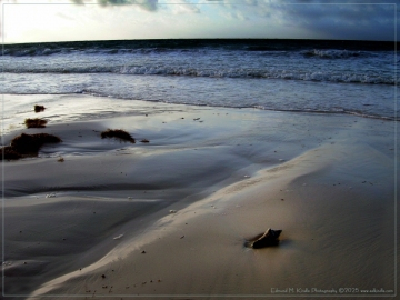 DSCN2275-Edit_01
