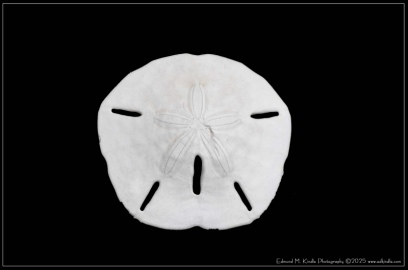 DSC_8616-Edit_01