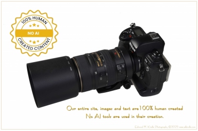 DSC_7732-Edit-NO-AI_01