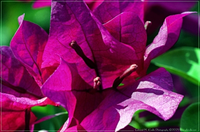 DSC_5787-Edit_01