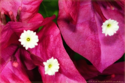 DSC_5803-Edit_01
