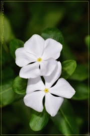 DSC_8431-Edit_01