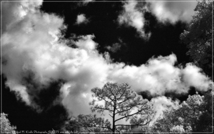 DSC_0003-Edit_01