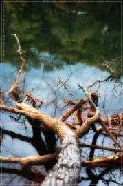 DSC_3256-Edit_01