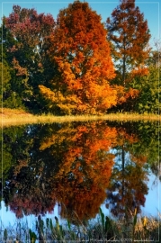 20251118_115704-Edit_01