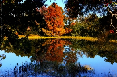 20251118_115741-Edit_01