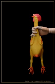 Chicken-Edit-2