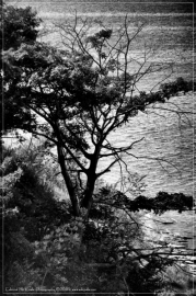EMK_9742-Edit_01