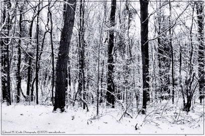 EMK_9861-Edit_01