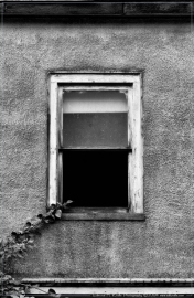 DSC_3548-Edit-BW_01