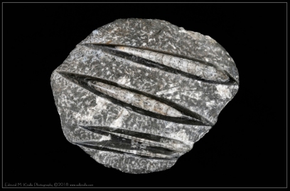 DSC_1469-Edit-3_01