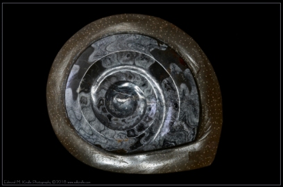 DSC_1920-Edit-2