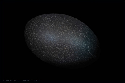 DSC_2008-Edit-2_01