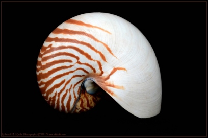 DSC_2678-Edit-2_01