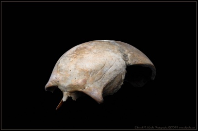 EMK_4111-Edit-2_01