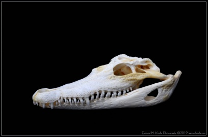 EMK_4130-Edit-2_01