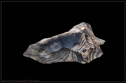 EMK_6371-Edit-2_01