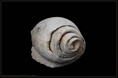 EMK_7909-Edit-2_01