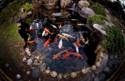 5-jpg