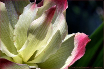 DSC_5179-Edit_01