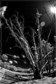 1_DSC_0037-Edit_01