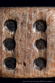 DSC_3447-45GN-RM-Edit_01