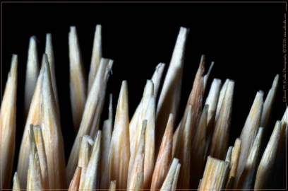 DSC_6570-Edit_01