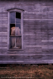 Image17-Edit_01