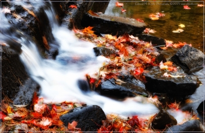 DSC_4811-Edit_01