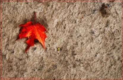 DSC_4823-Edit-2_01