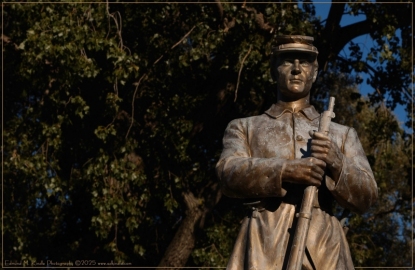 DSC_5245-Edit-2_01