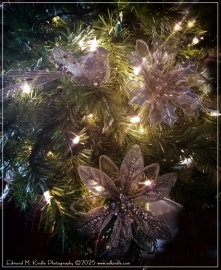 Tree-Edit-Edit_01