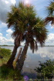 EMK_2608-Edit_01