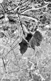 0738-Edit_01