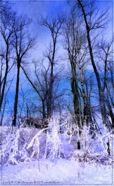 0754-Edit_01