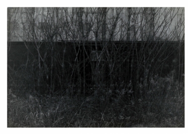 049-Edit-2_01