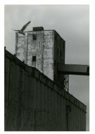 056-Edit-2_01