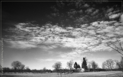 430-Edit-BW_01