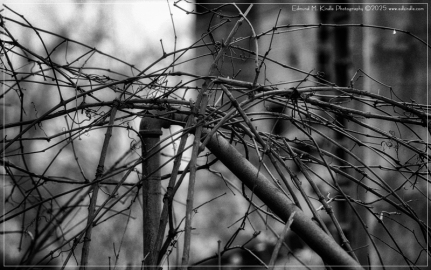 676-Edit-Edit_01