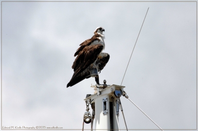 EMK_0104-Edit_01