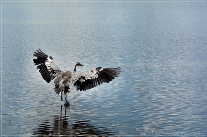 EMK_2602-Edit_01