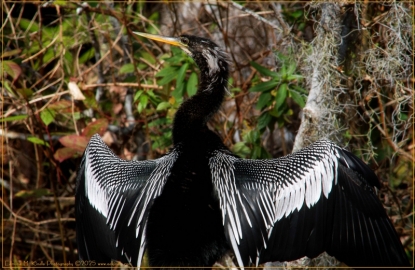 Sawgrass-Park-1_01